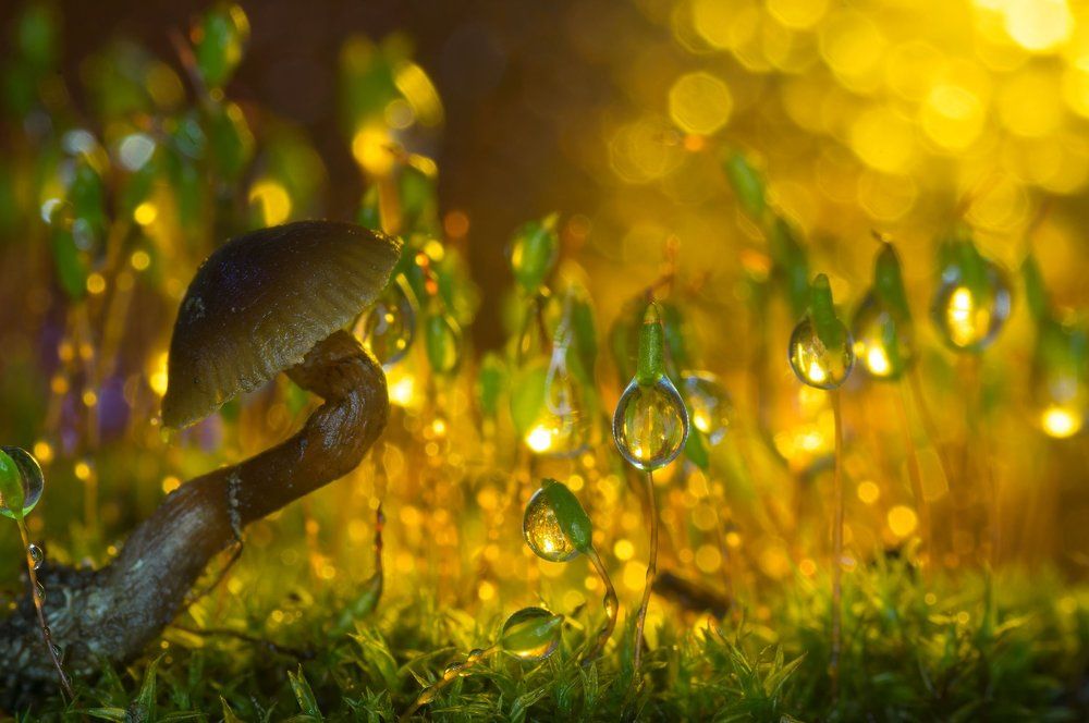 Photograph by Валерий Черняк