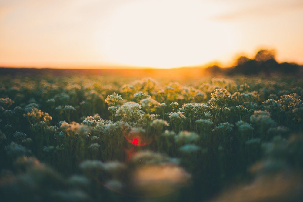 Весенний закат.