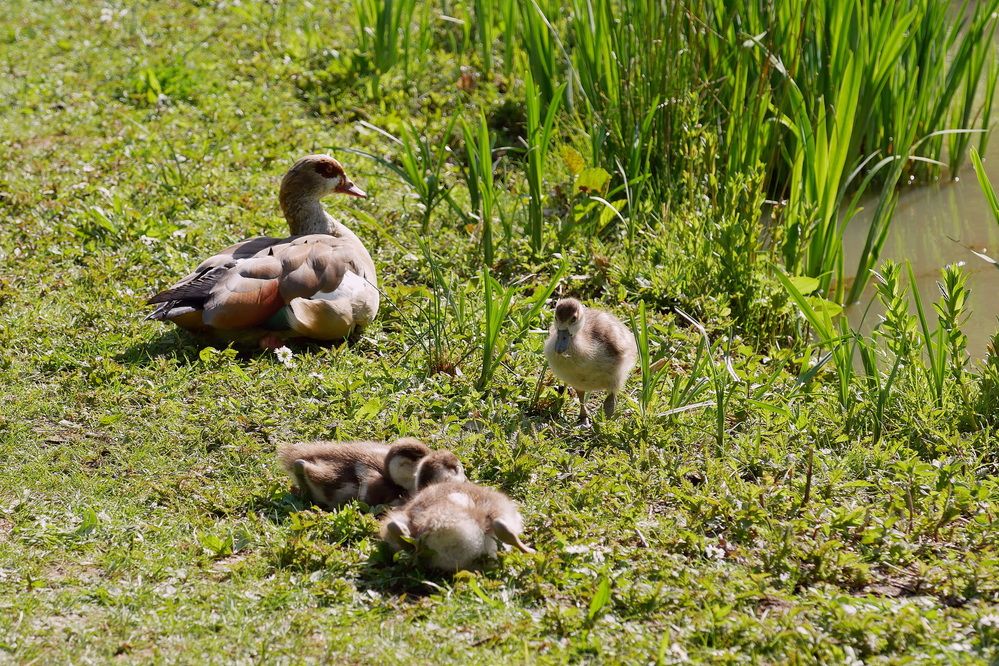 Photograph by Владимир Лобанов