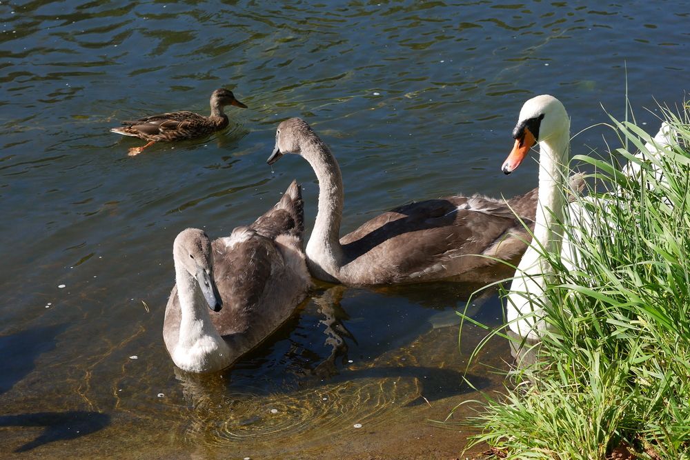 Photograph by Владимир Лобанов