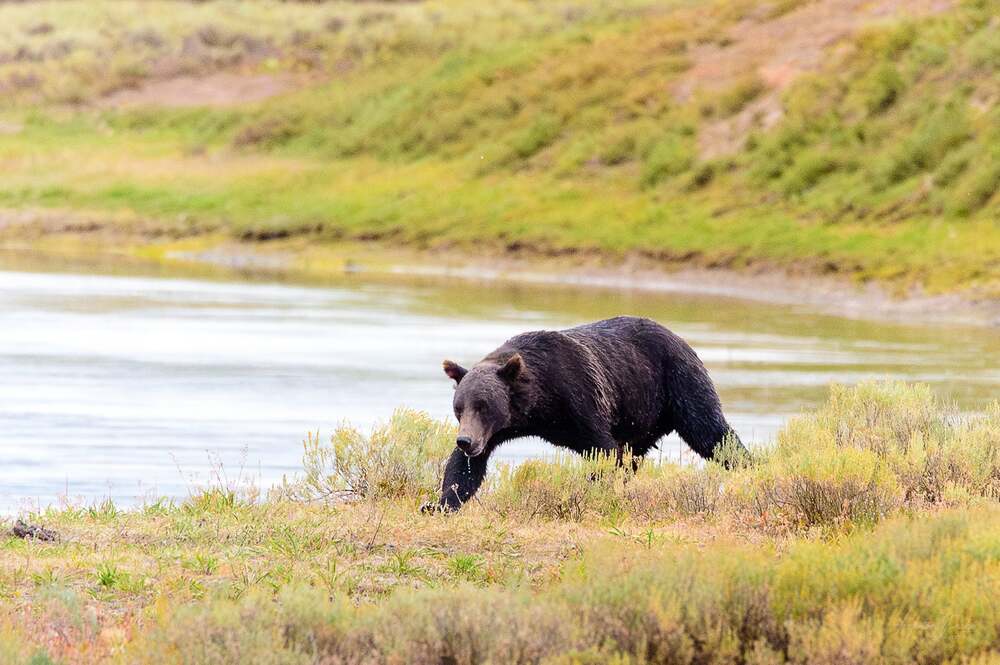 Photograph by Josh hunter