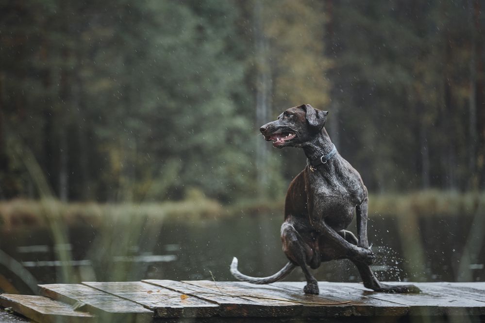 Photograph by Беспалова Полина