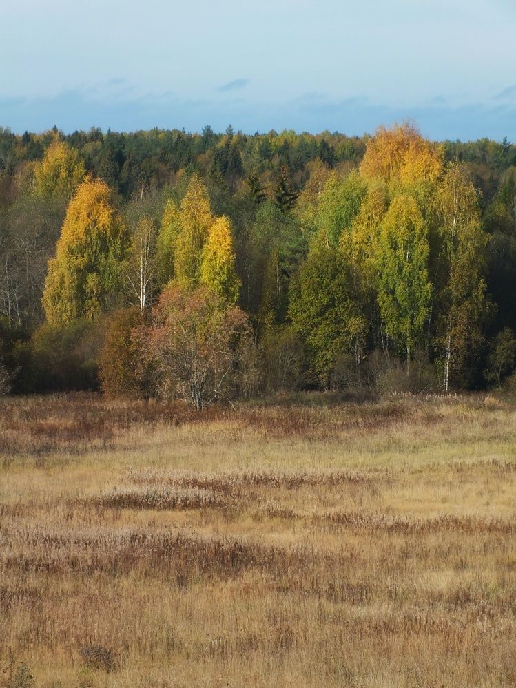 Фотография автора Андрей Шестаков