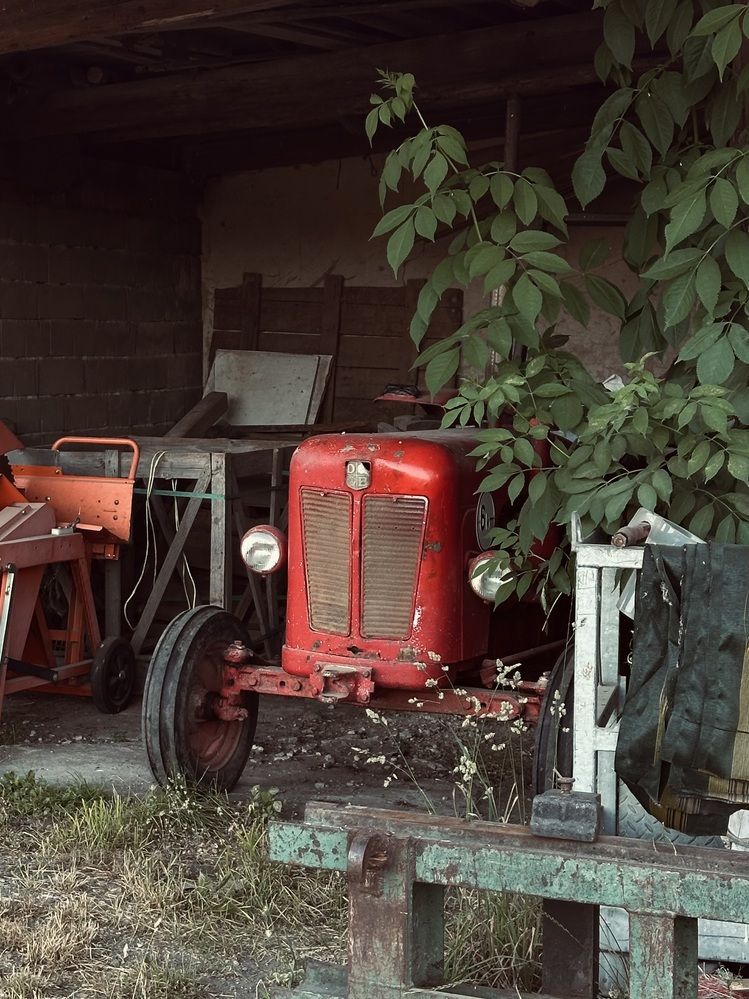 Фотография автора Swetlana Brenitsch