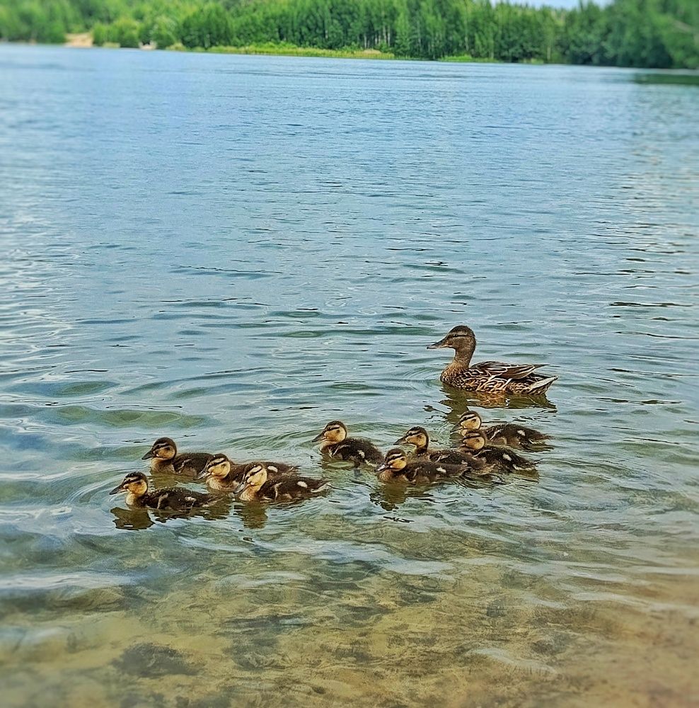 Photograph by Елизавета Рудецкая