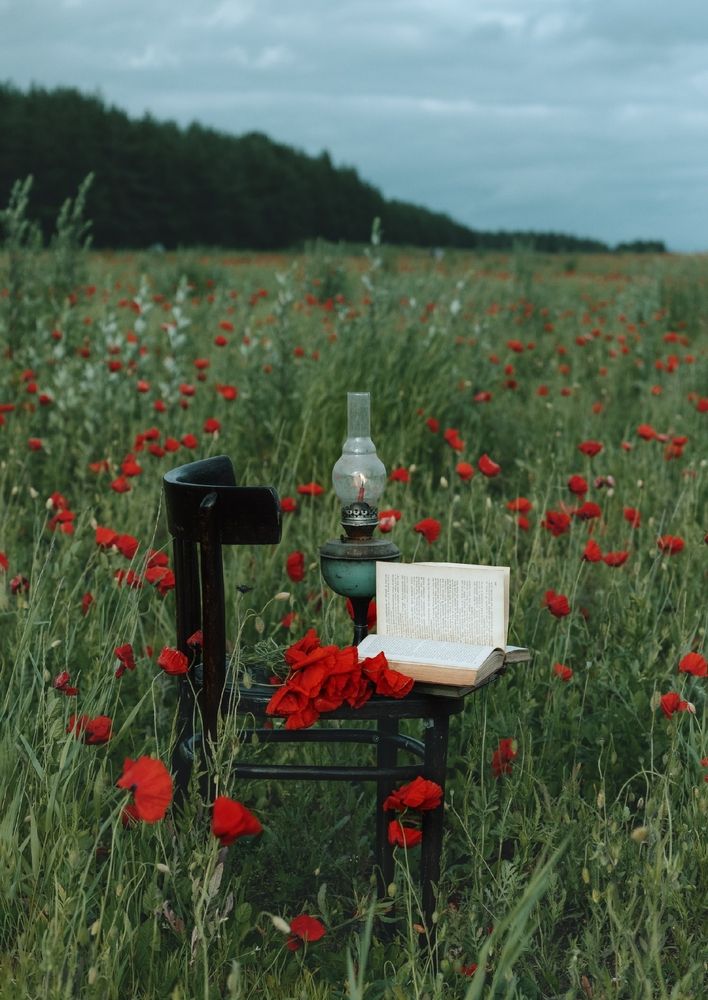 Photograph by Александрова Александра