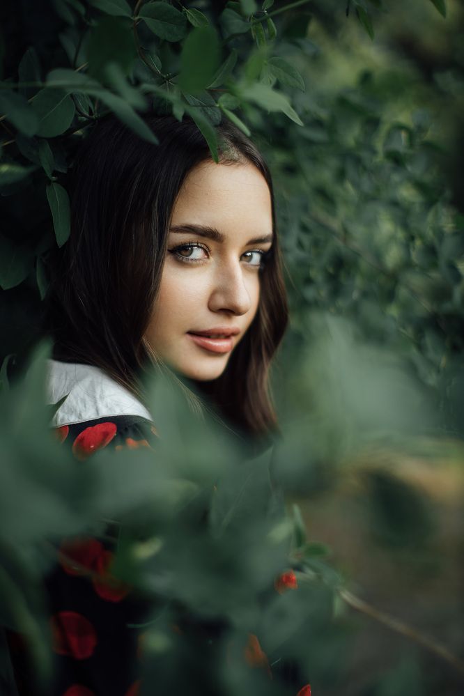 Фотография автора Александр Паничев