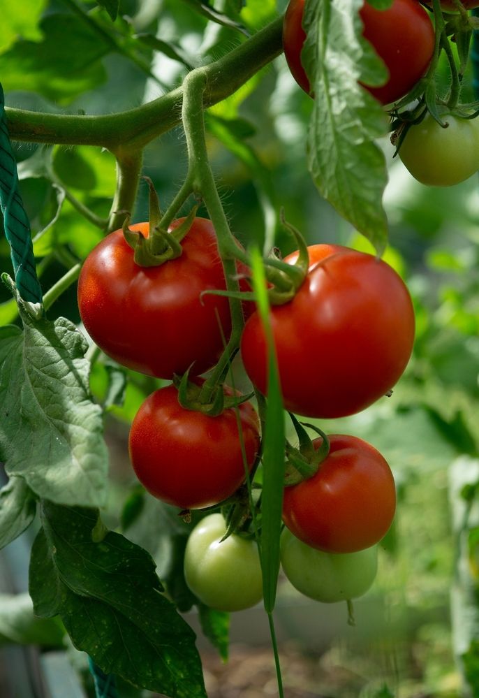 Photograph by Екатерина Одинцова