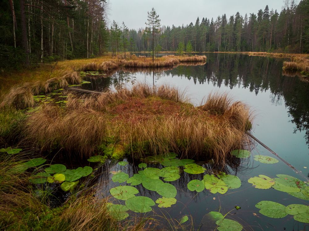 Фотография автора Boris Yakovlev