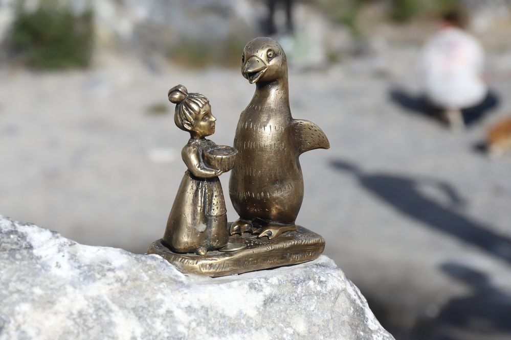 Photograph by Дубина Леонид