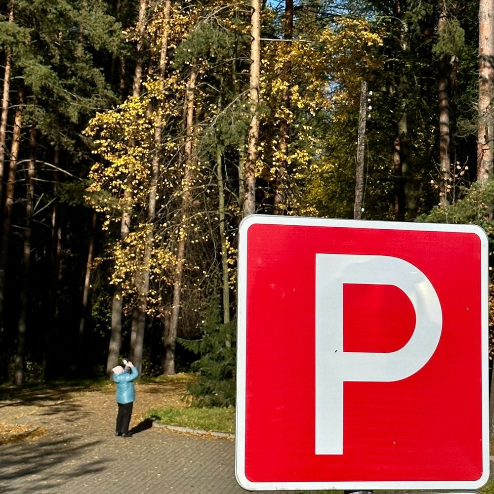 Photograph by Дима Барзыкин