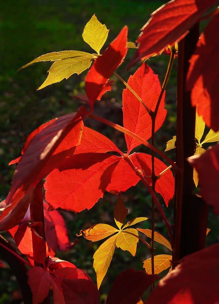 Photograph by Нина