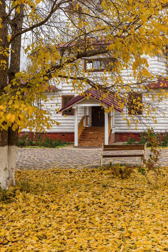 Photograph by Ляхова Ольга