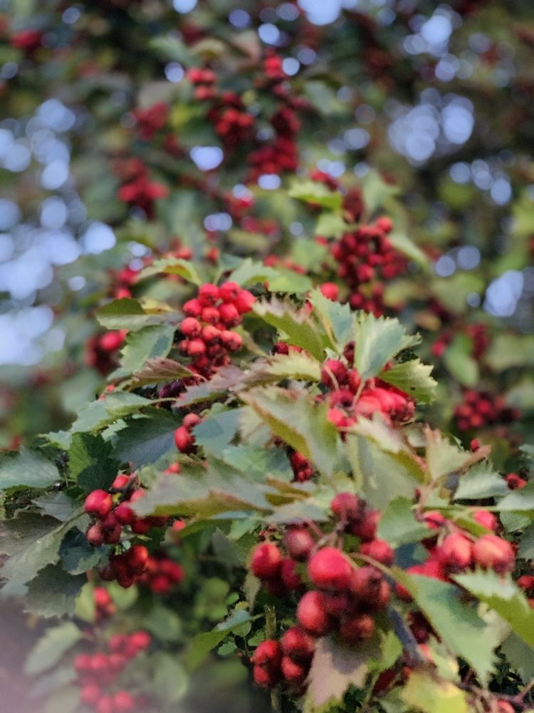 Photograph by Элла Слюсарь