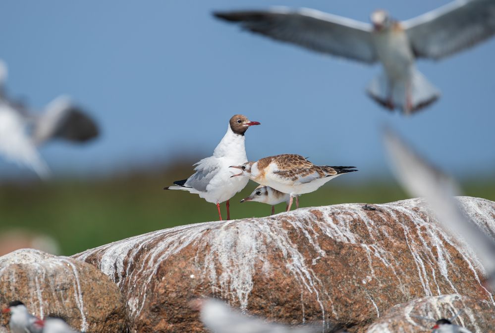 Photograph by Дмитрий Федорако