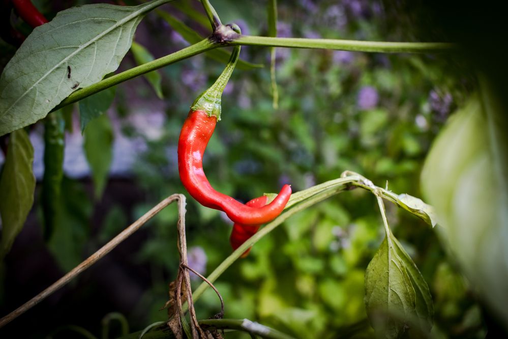 Photograph by Igors Rostikovs