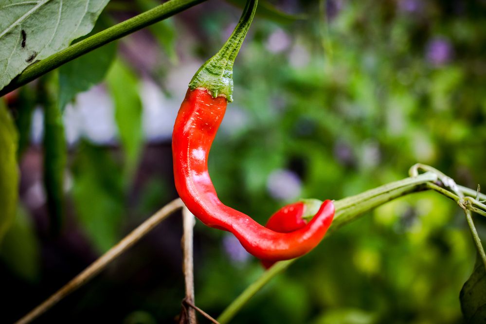 Photograph by Igors Rostikovs