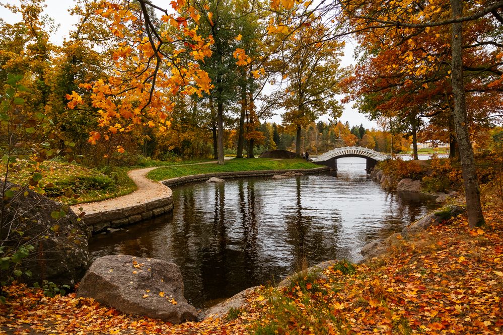 Photograph by Наталья Колеватова