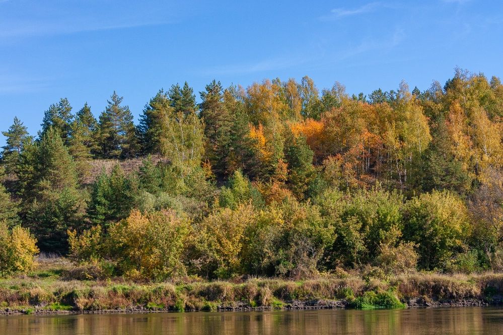 Photograph by Сергей Щербаков