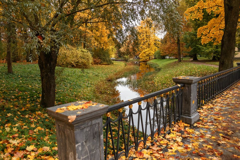 Photograph by Наталья Колеватова