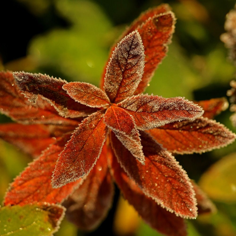 Фотография автора Александр Кожевников