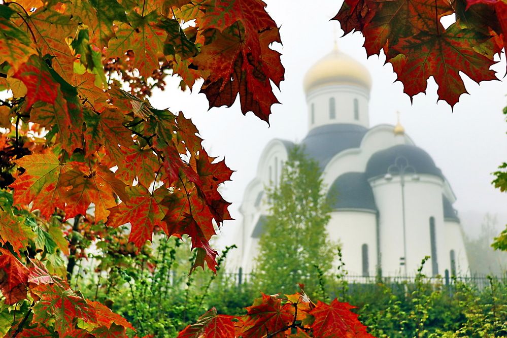 Photograph by Александр Лазебник