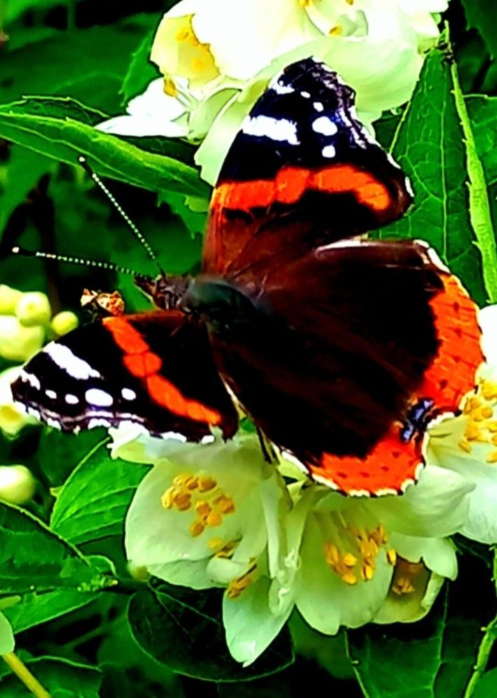 Photograph by Евгений Савулькин