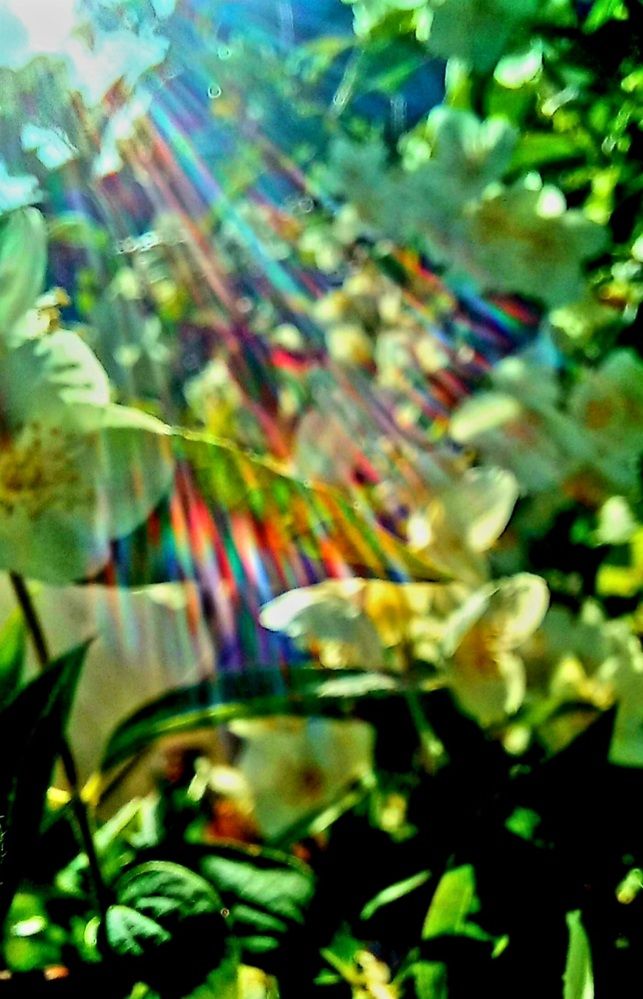 Photograph by Евгений Савулькин