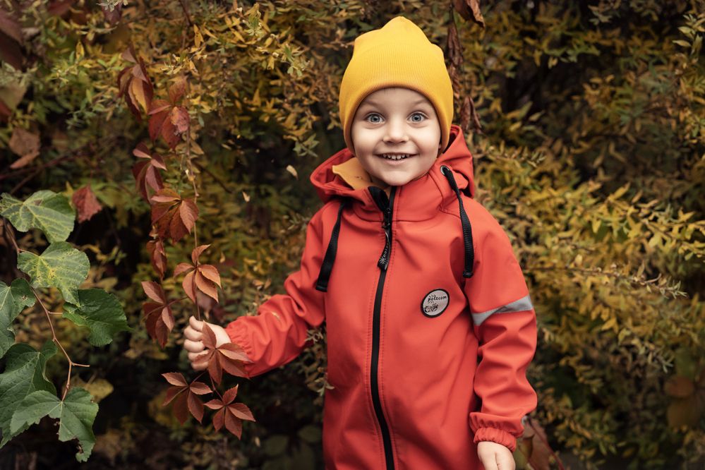 Photograph by Виктория Лаур