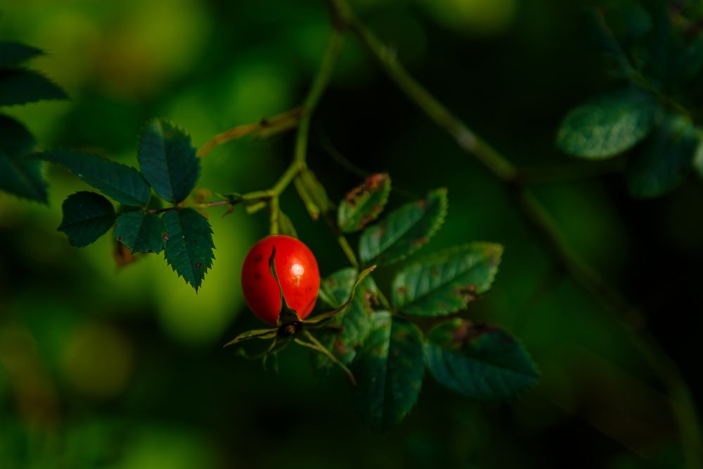 Photograph by Наталья Колеватова