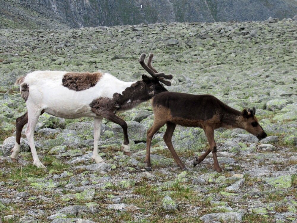 Photograph by Ольга Березовская