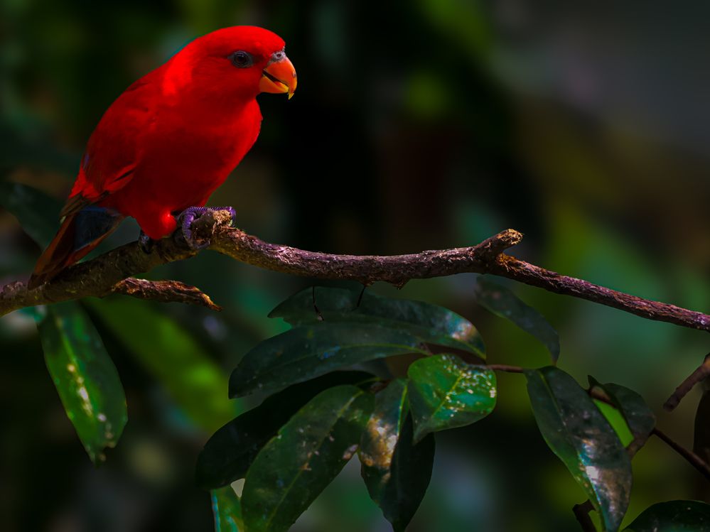 Photograph by sutan naga effendy