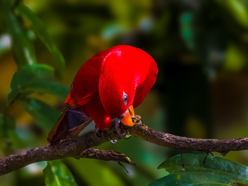 Photograph by sutan naga effendy