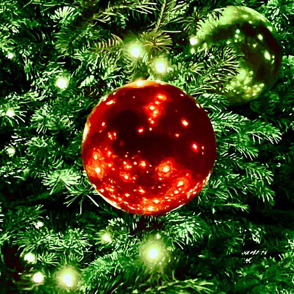 Photograph by Dario Meroni