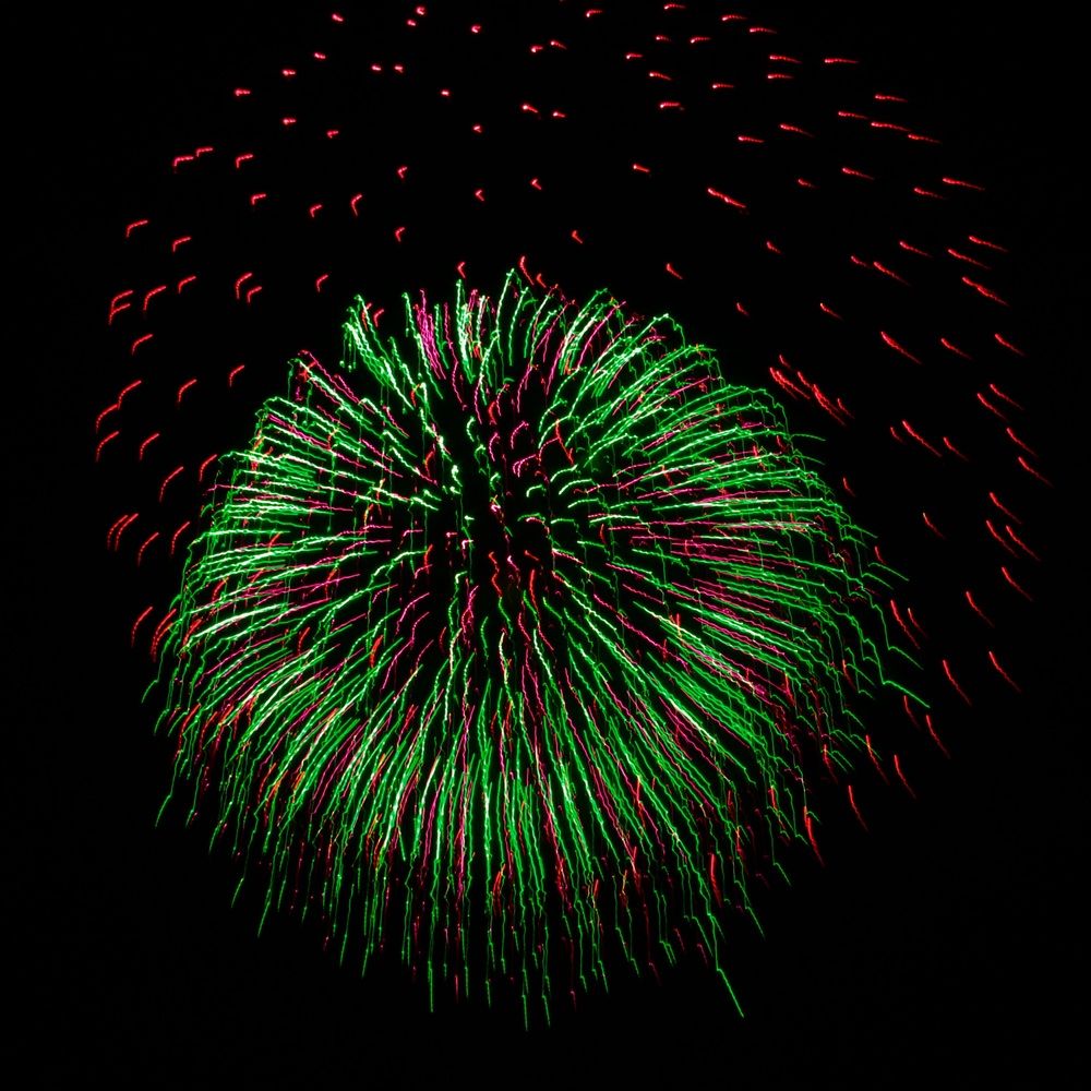 Photograph by Dario Meroni