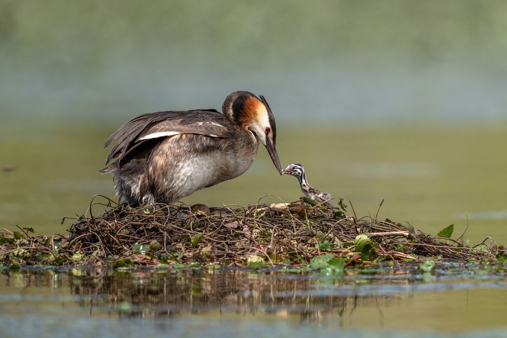 Photograph by Константин Тучин