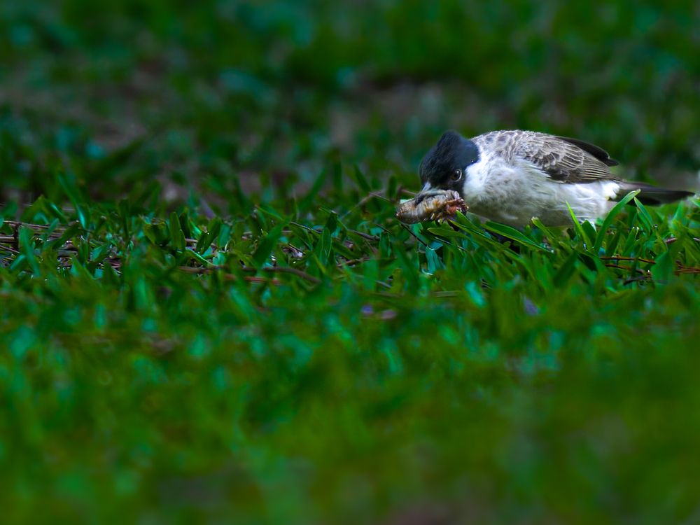 Photograph by WONG ADVENTURE