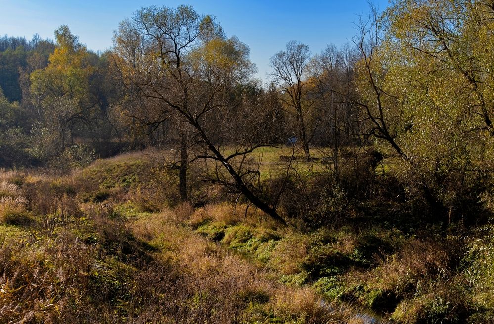 Photograph by Михаил Косолапов