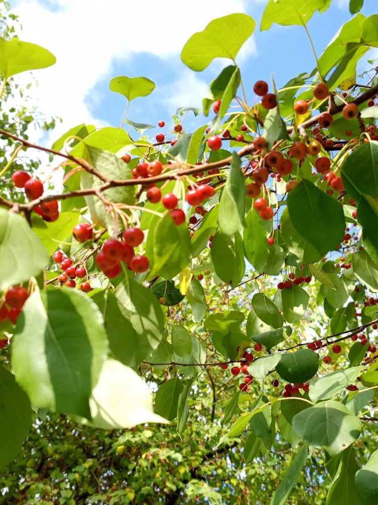 Photograph by Ирина