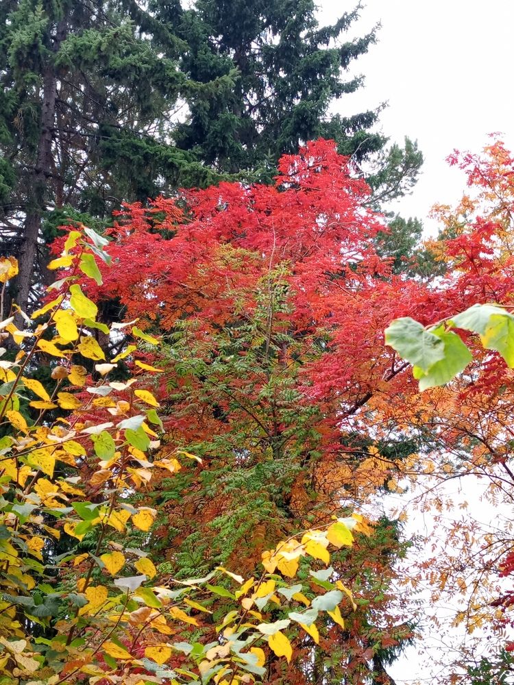 Photograph by Ирина