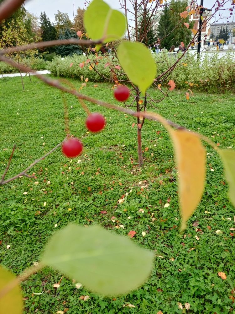 Photograph by Ирина