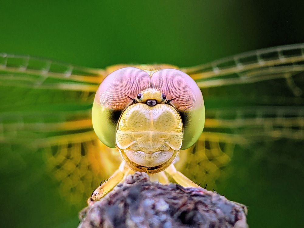 Photograph by QUYẾT TRỌNG NGUYỄN