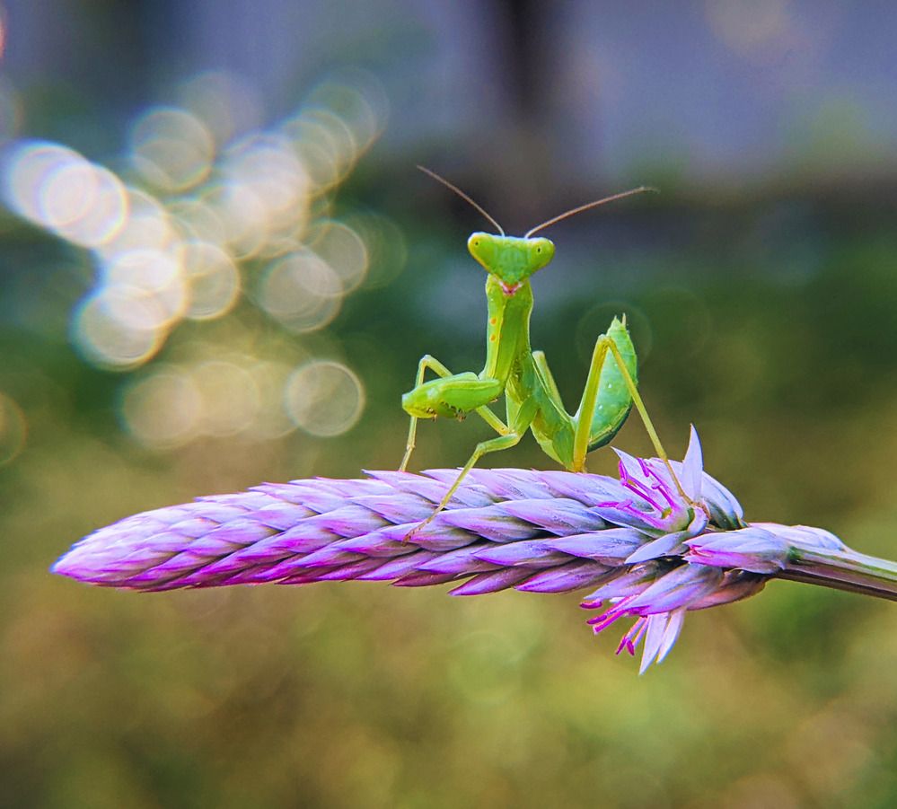 Photograph by QUYẾT TRỌNG NGUYỄN