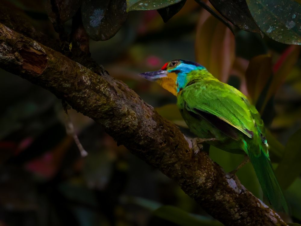 Photograph by WONG ADVENTURE