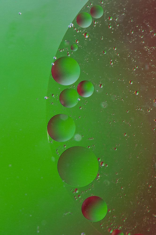 Photograph by Chamara Sulakkhana Polwatta Siriyalage