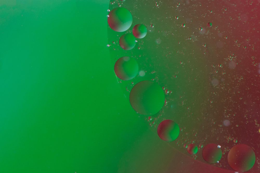 Photograph by Chamara Sulakkhana Polwatta Siriyalage