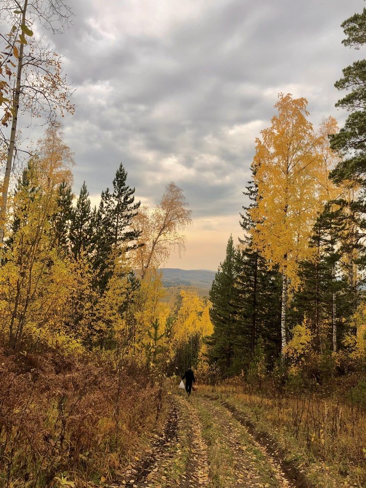 Photograph by Светлана Дмитриева