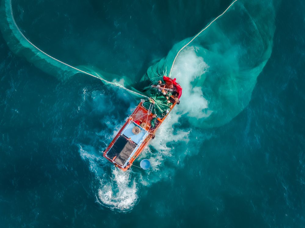 Photograph by Lê Huy Anh