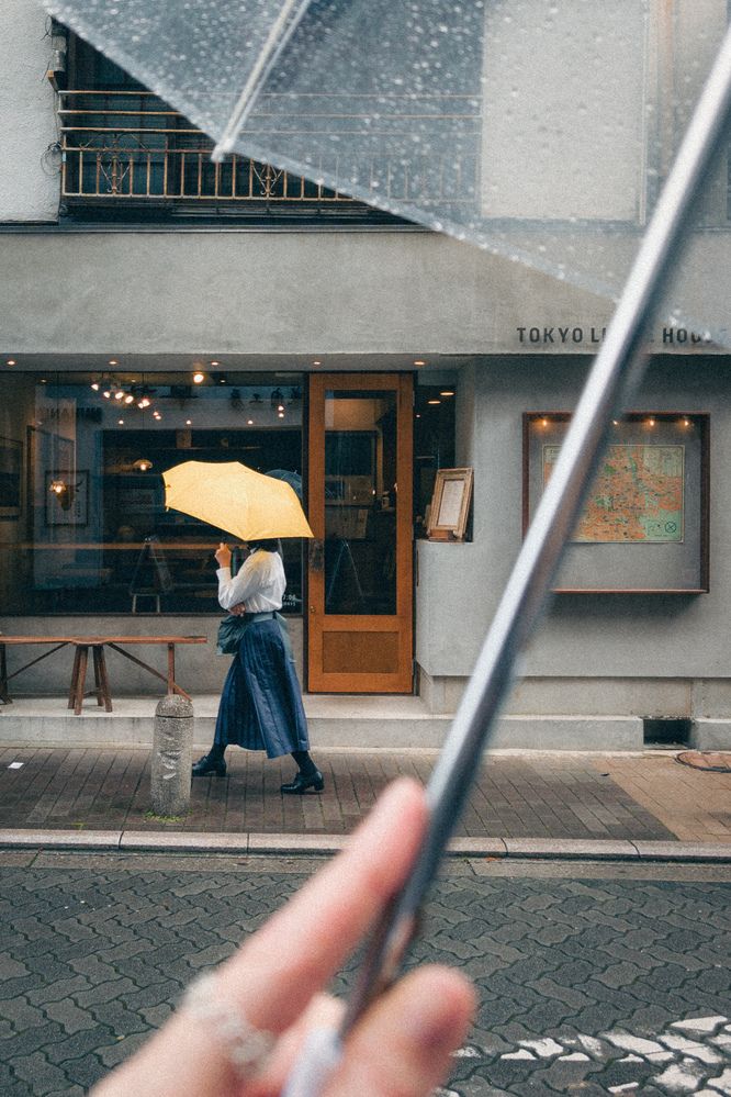 Фотография автора Gerun Ekaterina