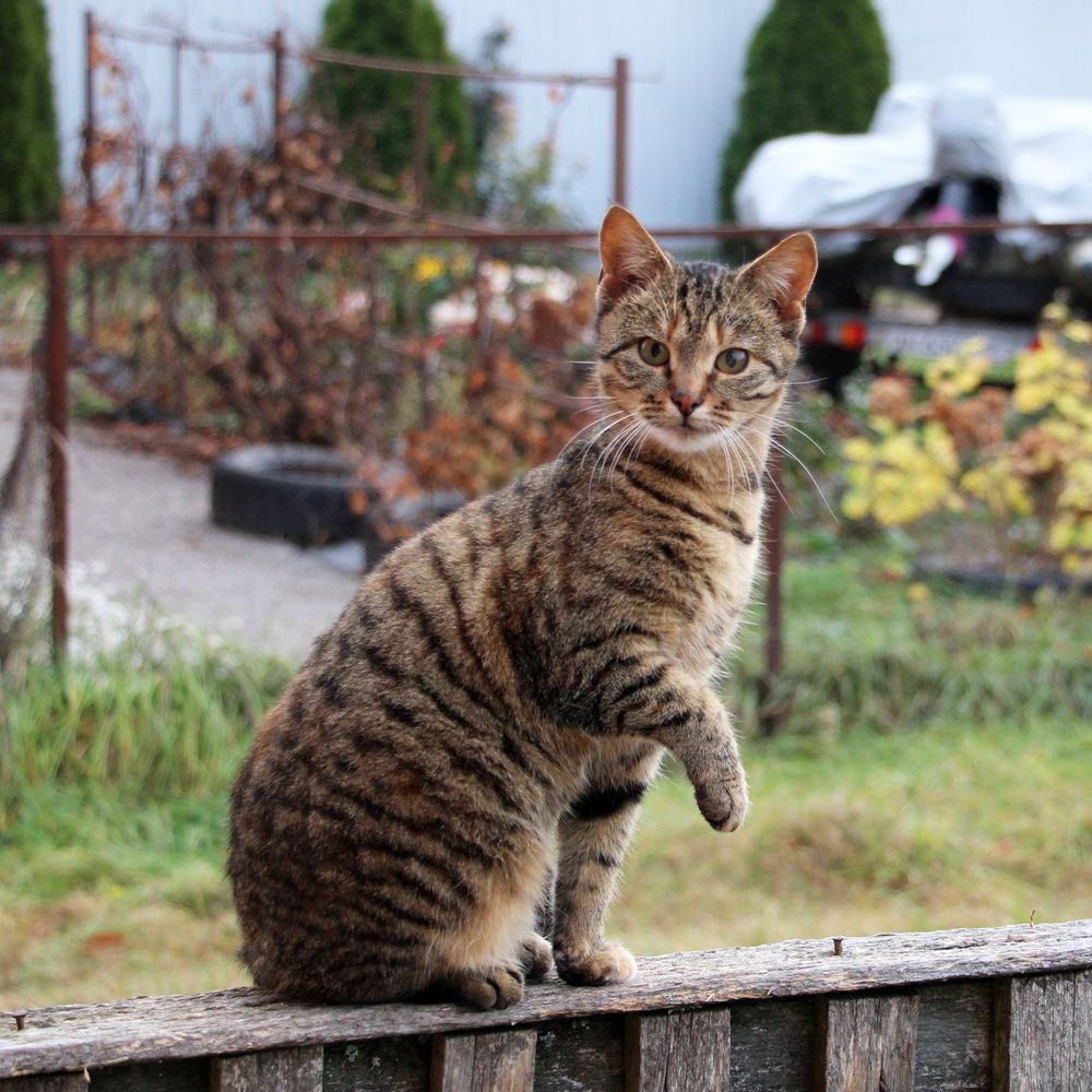 Первый раз на улице
